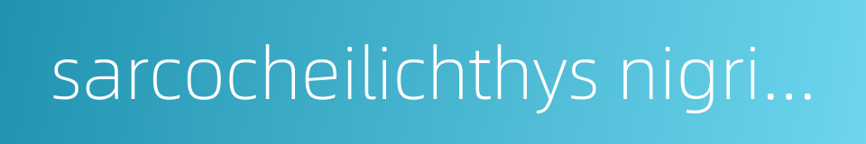 sarcocheilichthys nigripinnis nigripinnis的同义词