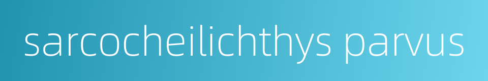 sarcocheilichthys parvus的同义词