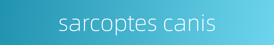 sarcoptes canis的同义词
