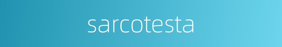 sarcotesta的同义词