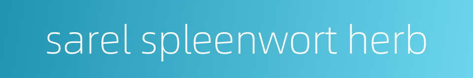 sarel spleenwort herb的同义词