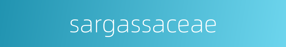 sargassaceae的同义词