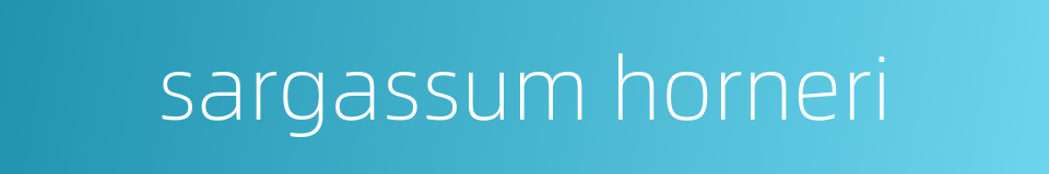 sargassum horneri的同义词