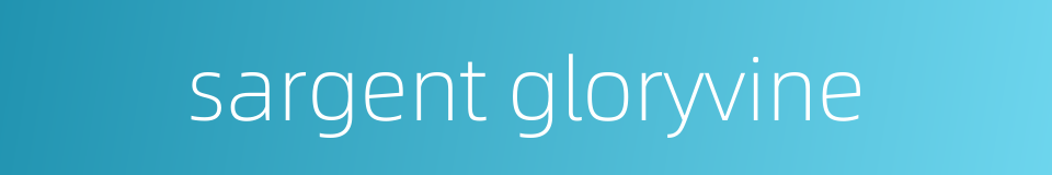 sargent gloryvine的同义词