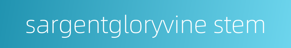 sargentgloryvine stem的同义词