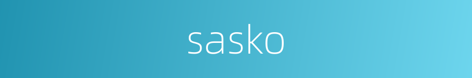 sasko的同义词
