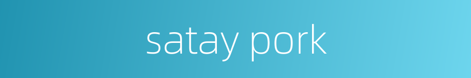 satay pork的同义词