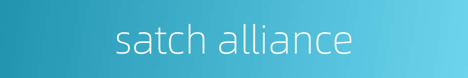 satch alliance的同义词