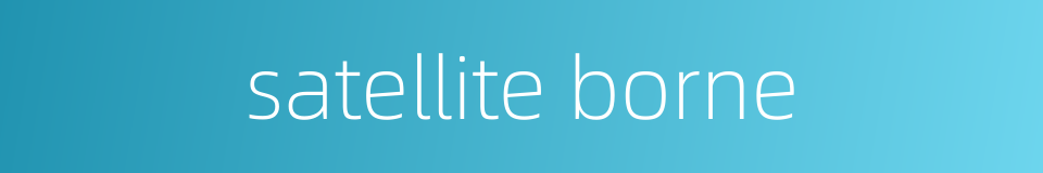 satellite borne的同义词