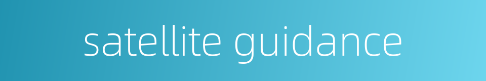 satellite guidance的同义词