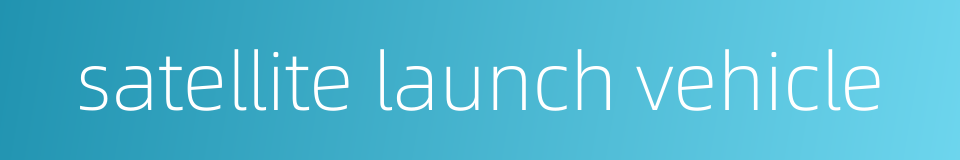 satellite launch vehicle的同义词