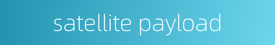 satellite payload的同义词