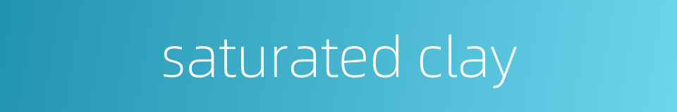 saturated clay的同义词