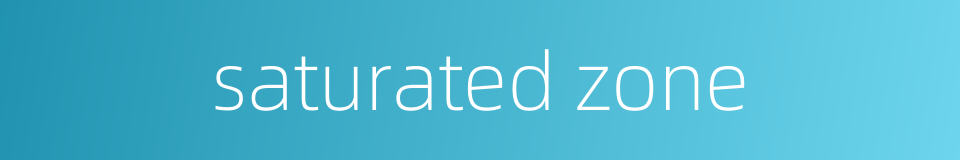 saturated zone的同义词