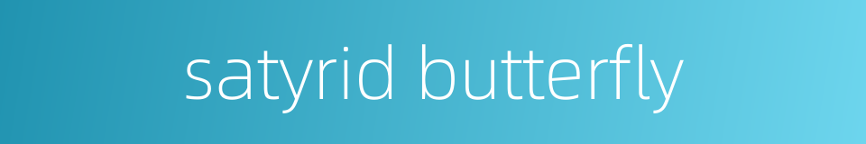 satyrid butterfly的同义词