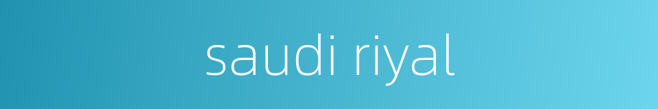 saudi riyal的同义词