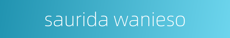 saurida wanieso的同义词