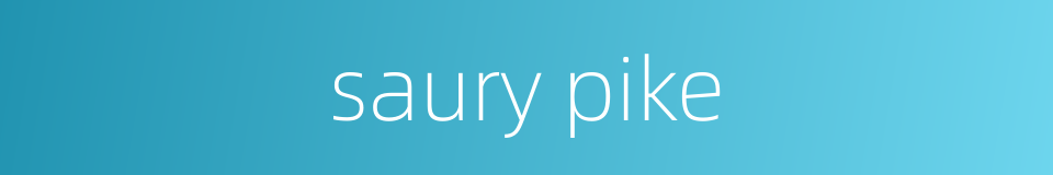 saury pike的同义词