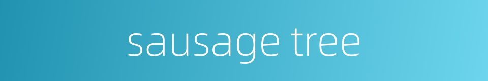 sausage tree的同义词