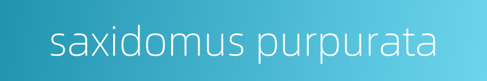saxidomus purpurata的同义词