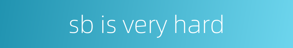 sb is very hard的同义词