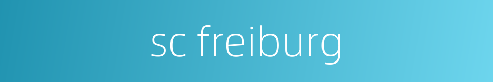 sc freiburg的同义词