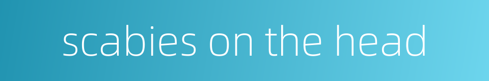 scabies on the head的同义词