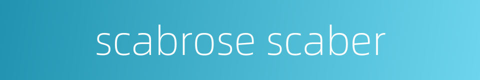 scabrose scaber的同义词