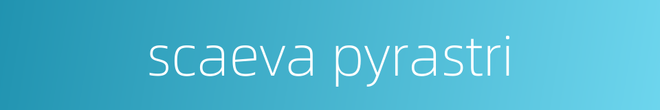 scaeva pyrastri的同义词