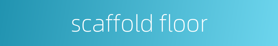 scaffold floor的同义词