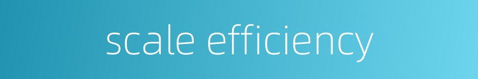 scale efficiency的同义词