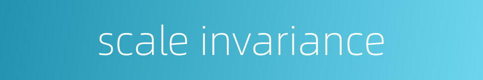 scale invariance的同义词