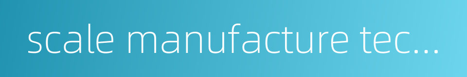 scale manufacture technology的同义词