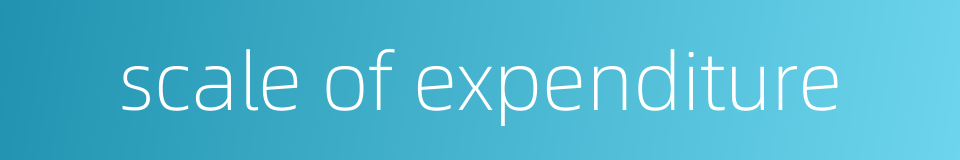 scale of expenditure的同义词