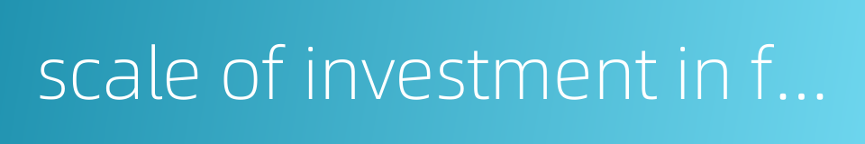 scale of investment in fixed assets should be brought under control的同义词