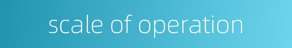 scale of operation的同义词