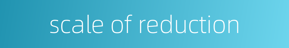 scale of reduction的同义词