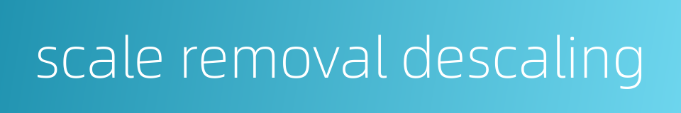 scale removal descaling的同义词