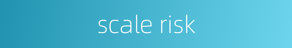 scale risk的同义词