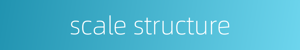 scale structure的同义词