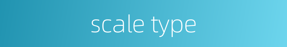 scale type的同义词