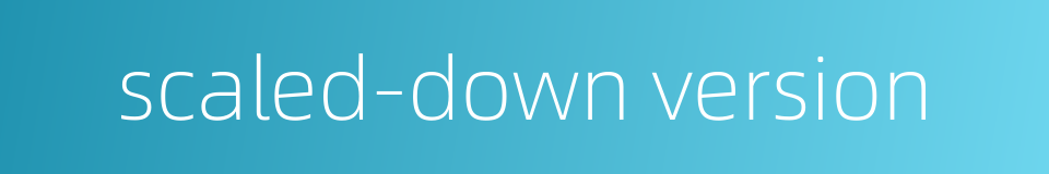 scaled-down version的同义词