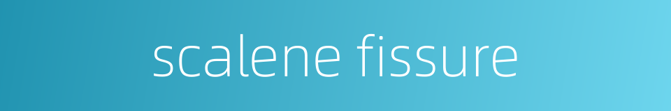 scalene fissure的同义词