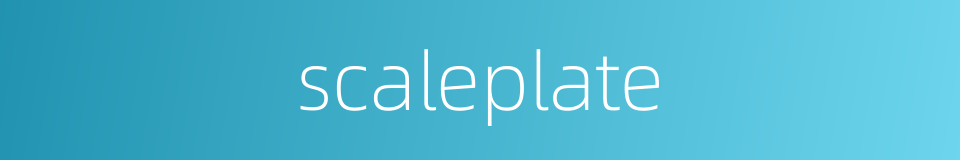 scaleplate的同义词