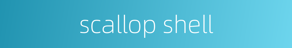 scallop shell的同义词