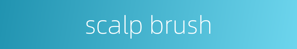 scalp brush的同义词