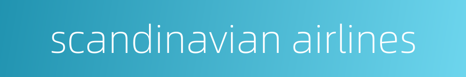 scandinavian airlines的同义词