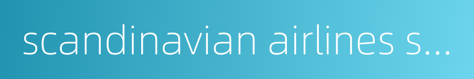 scandinavian airlines system的同义词