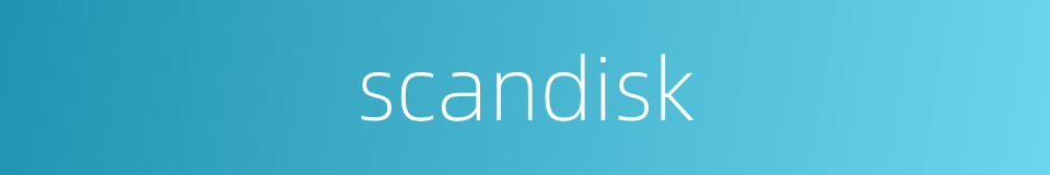 scandisk的同义词