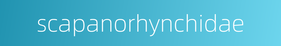 scapanorhynchidae的同义词